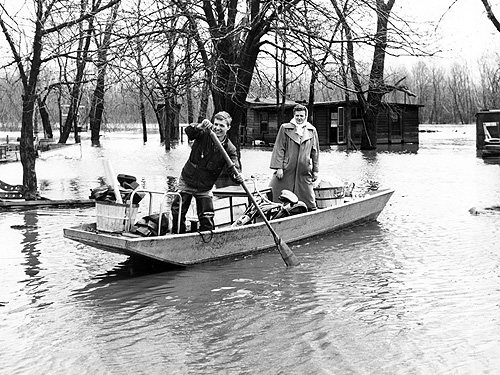 flood196514